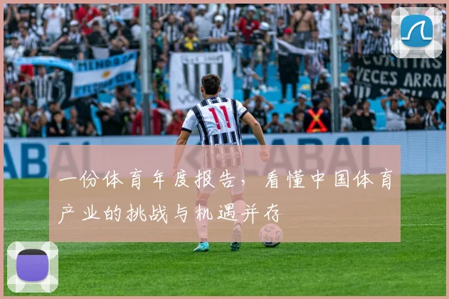 一份体育年度报告,看懂中国体育产业的挑战与机遇并存
